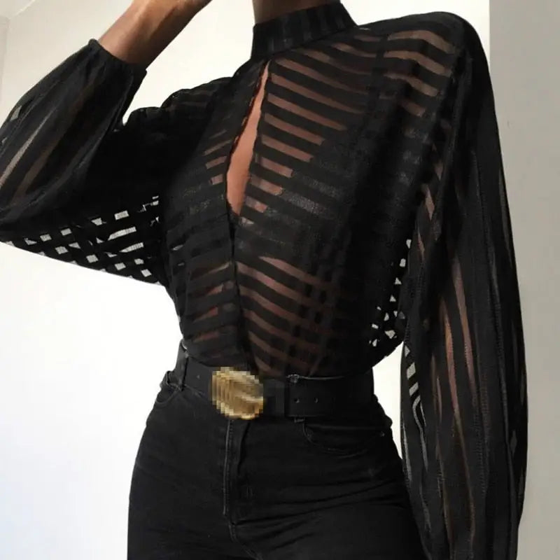 Aesthetic Mesh Long Puff Sleeve - sleeve