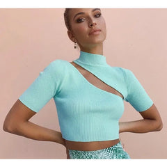 Caramel High Neck Ribbed Knit Crop Top