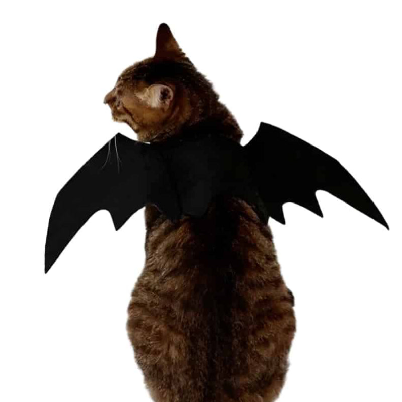 Halloween Cat Costume Bat Wings Cosplay