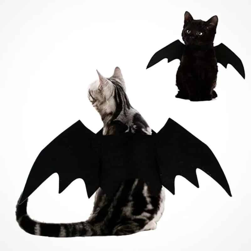 Halloween Cat Costume Bat Wings Cosplay