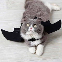 Halloween Cat Costume Bat Wings Cosplay