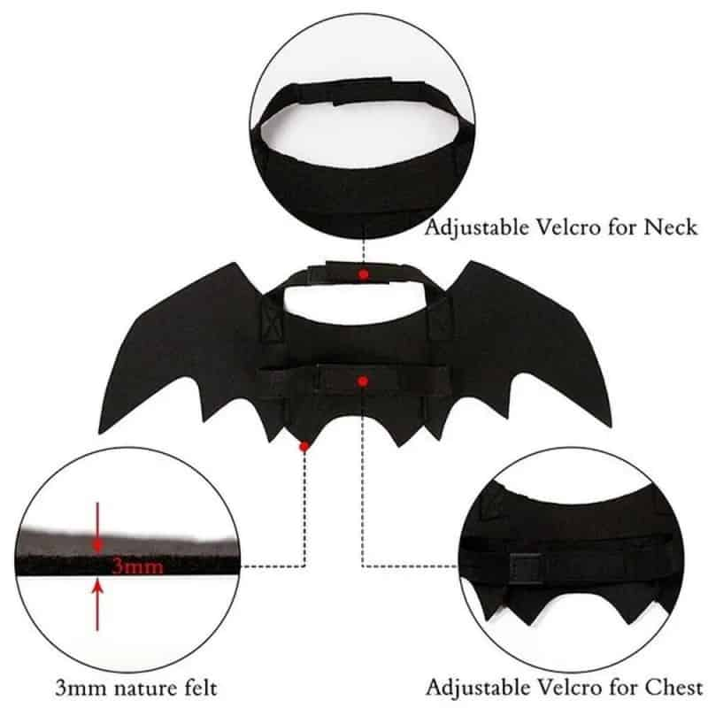 Halloween Cat Costume Bat Wings Cosplay