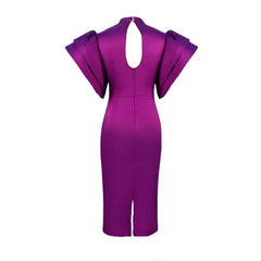 High Neck Flare Sleeve Layered Cotton Dress