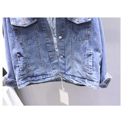 Japanese Crane Denim Jacket Classic Fit