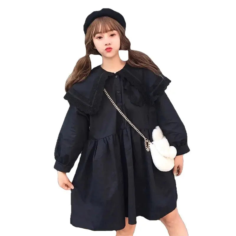 Long Sleeve Round Collar A line Dress