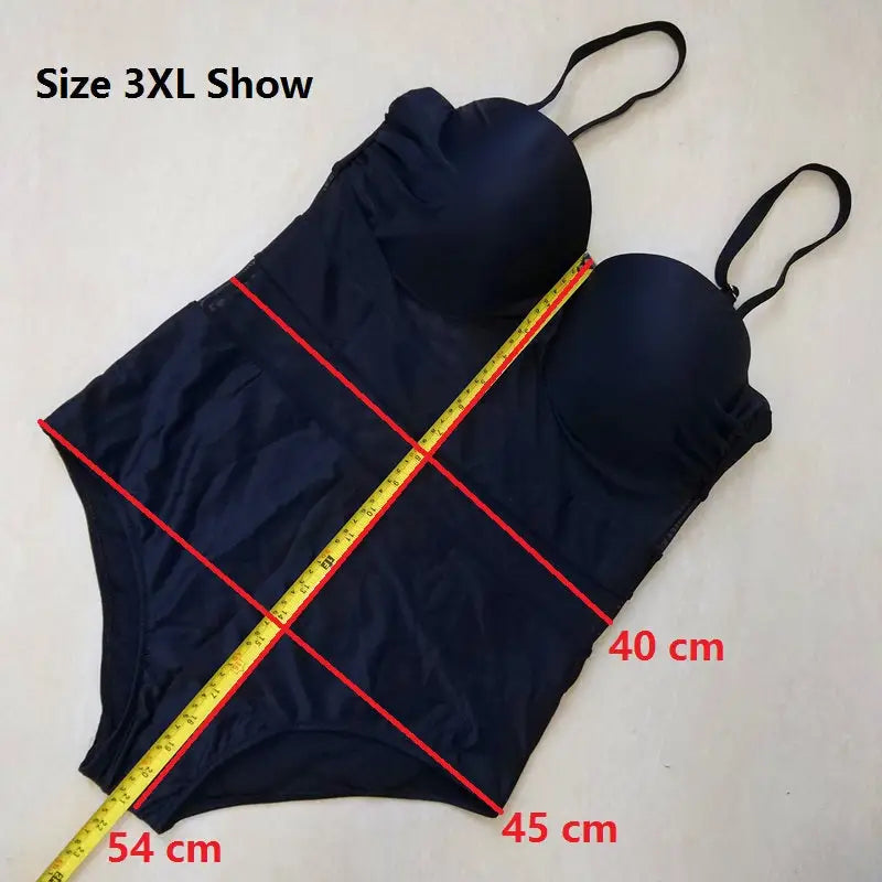 Mesh Sheer Plus Size Black and White One Piece Swimsuit