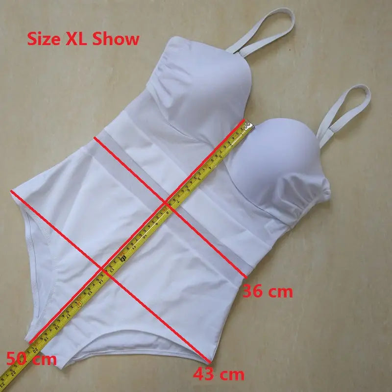 Mesh Sheer Plus Size Black and White One Piece Swimsuit