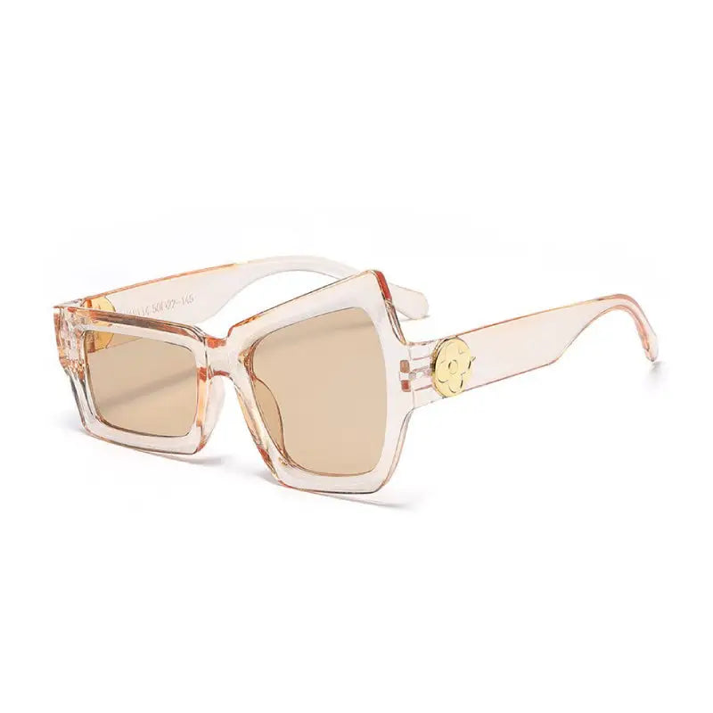 Plastic Irregular Shaped Sunglasses UV400 Square Lenses