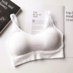 Seamless Underwear Crop Top - Style 2 White / For 40-65kg
