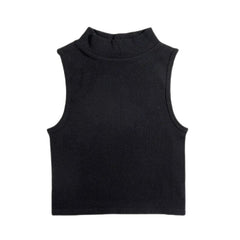 Sleeveless High Neck Crop Top