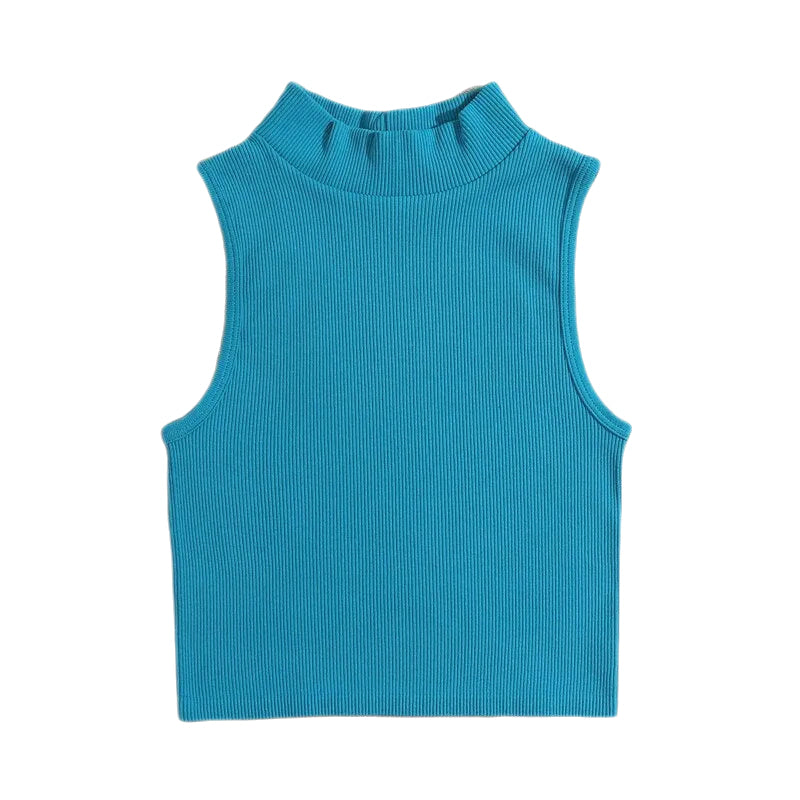 Sleeveless High Neck Crop Top