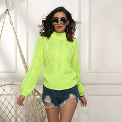 Turtleneck Solid Color Ribbed Knitted Sweater