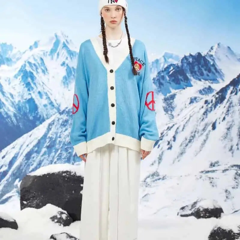 V-Neck Sweater with Letter and Bird Embroidery