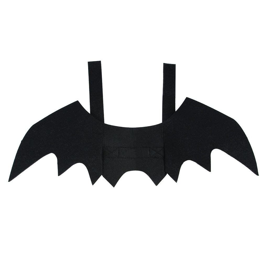 Halloween Cat Costume Bat Wings Cosplay - Black / One Size -