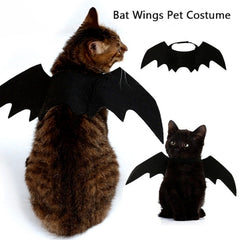 Halloween Cat Costume Bat Wings Cosplay - Black / One Size -